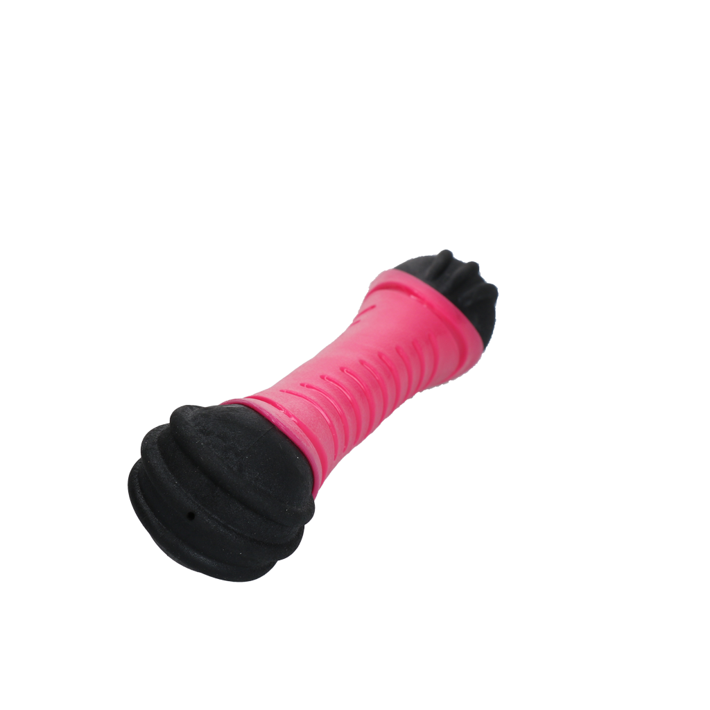 Dog Comets Asteroid Fetch Stick