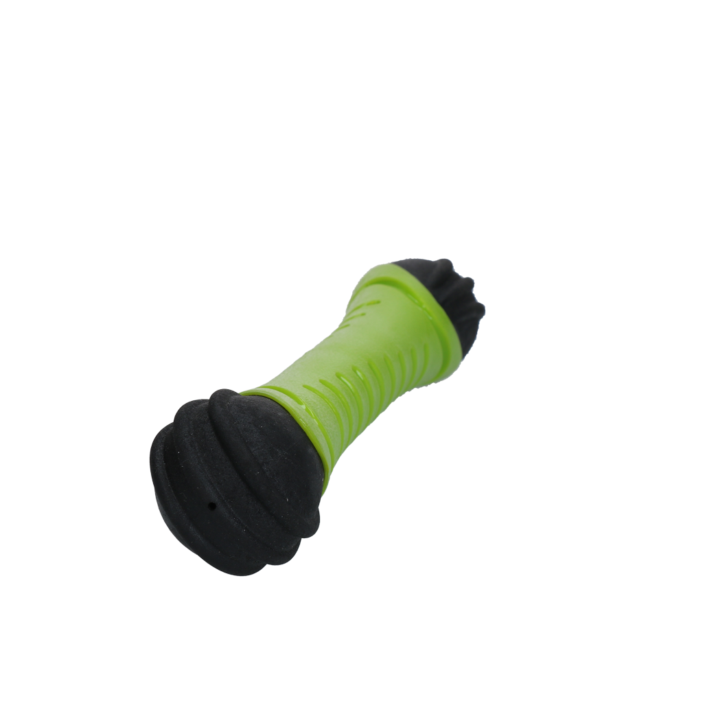 Dog Comets Asteroid Fetch Stick