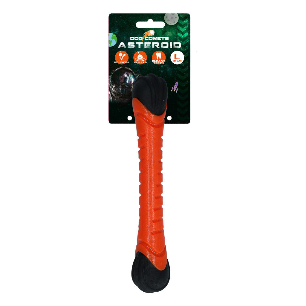 Dog Comets Asteroid Fetch Stick