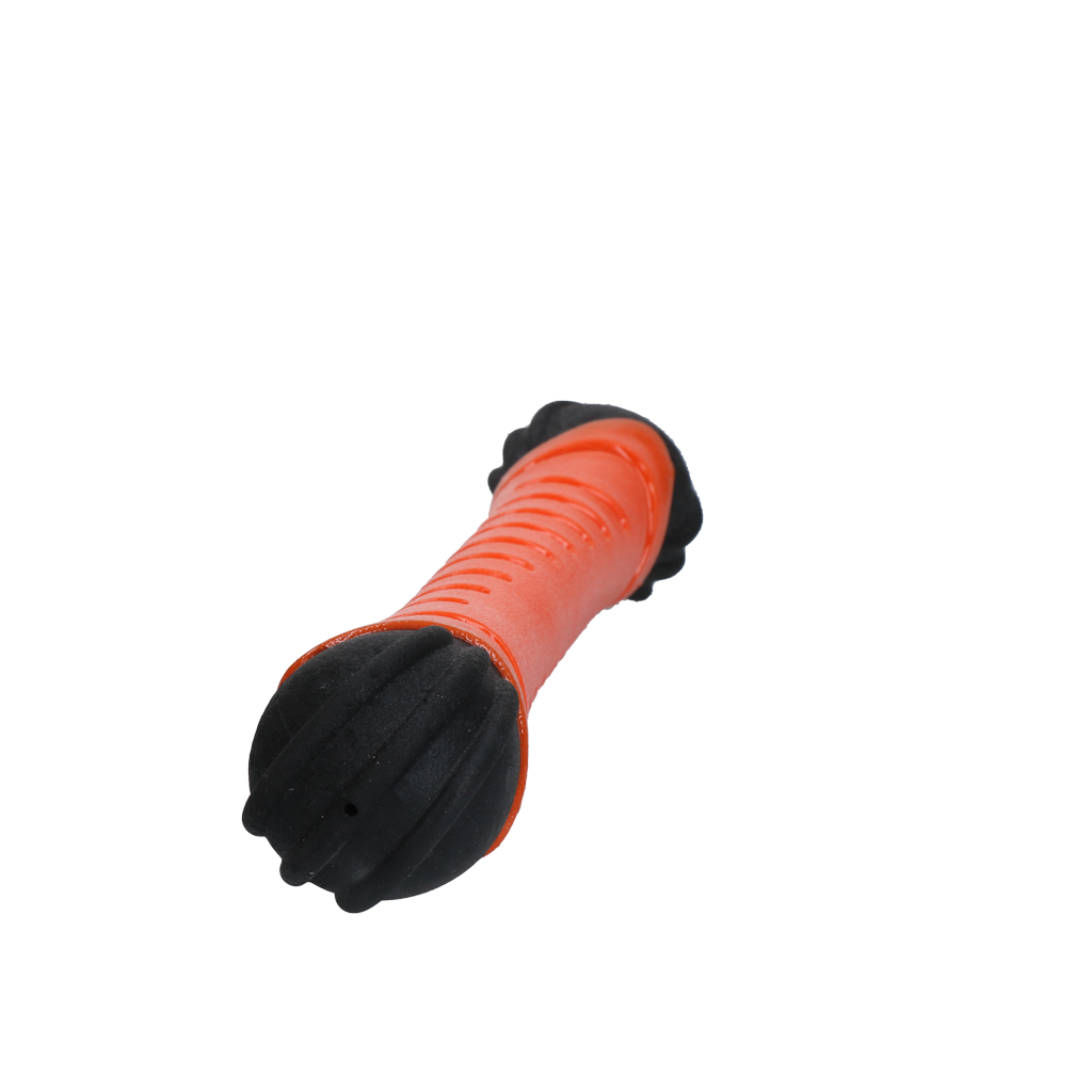 Dog Comets Asteroid Fetch Stick