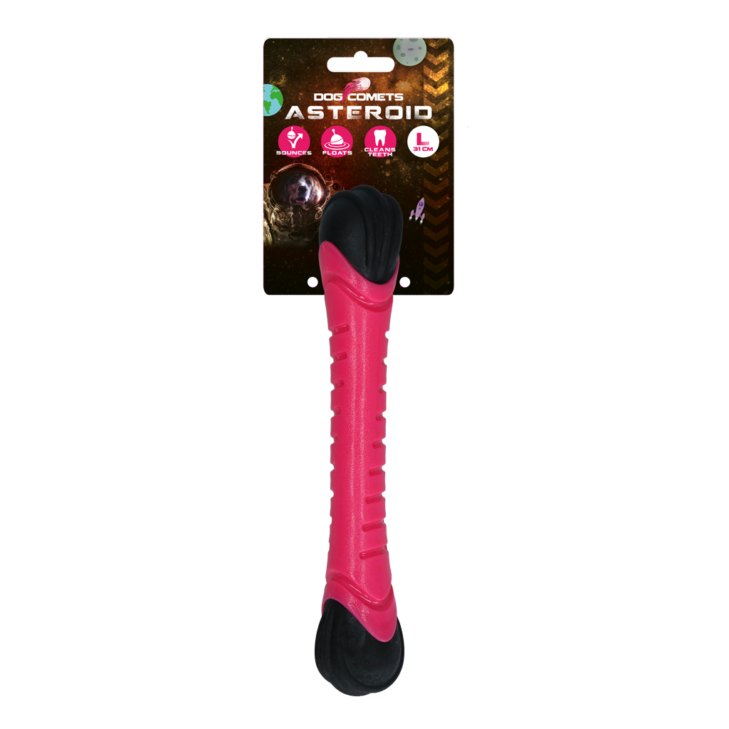 Dog Comets Asteroid Fetch Stick