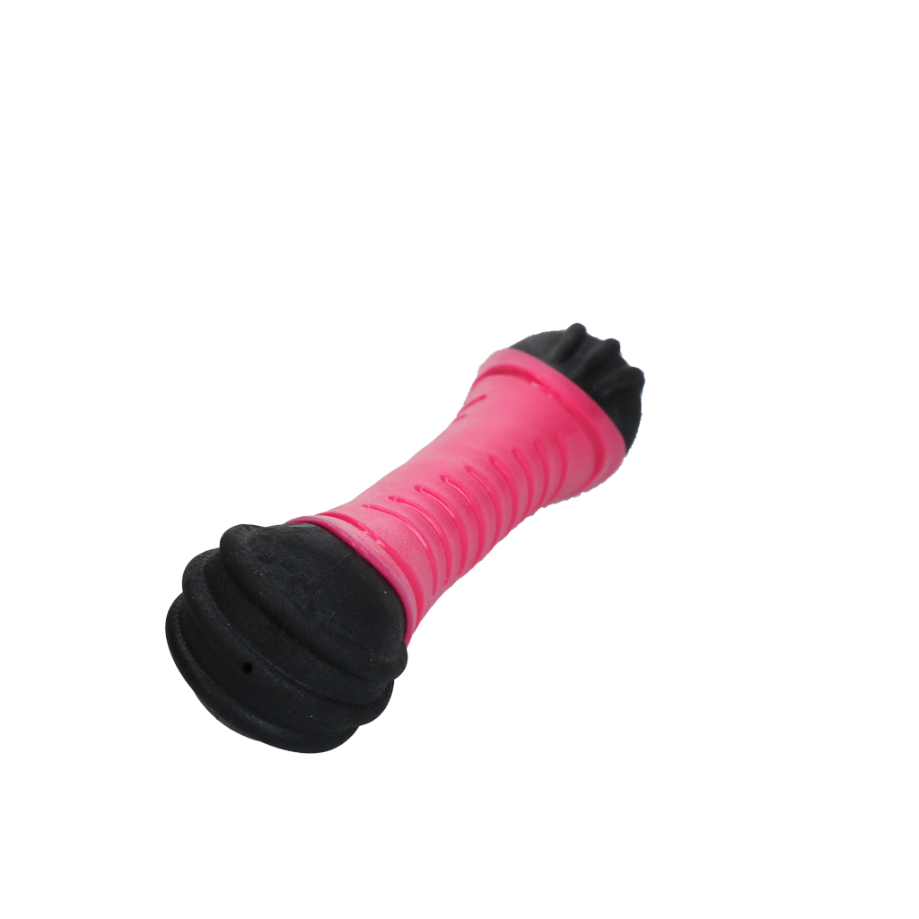 Dog Comets Asteroid Fetch Stick