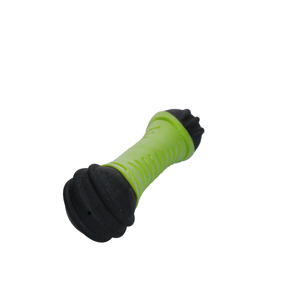 Dog Comets Asteroid Fetch Stick