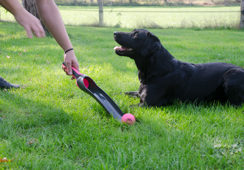 Dog Comets Star Launcher