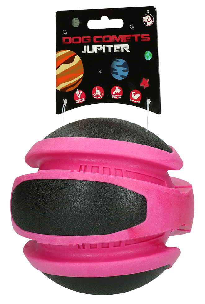 Dog Comets Planets