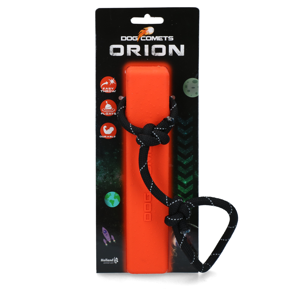 Dog Comets Orion