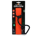 Dog Comets Orion