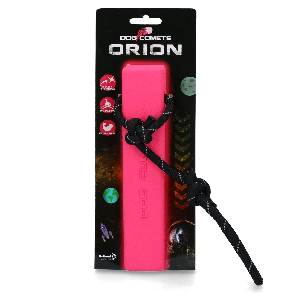 Dog Comets Orion