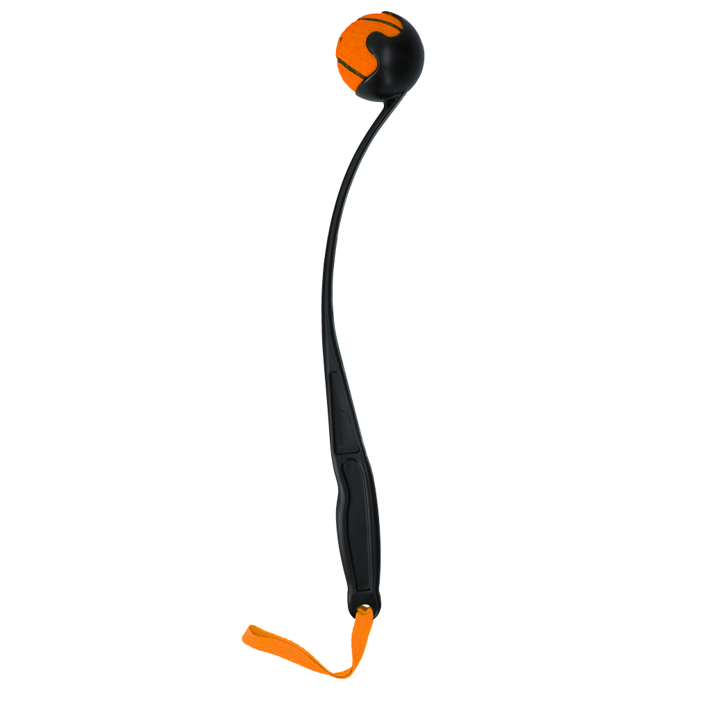 Dog Comets Launcher