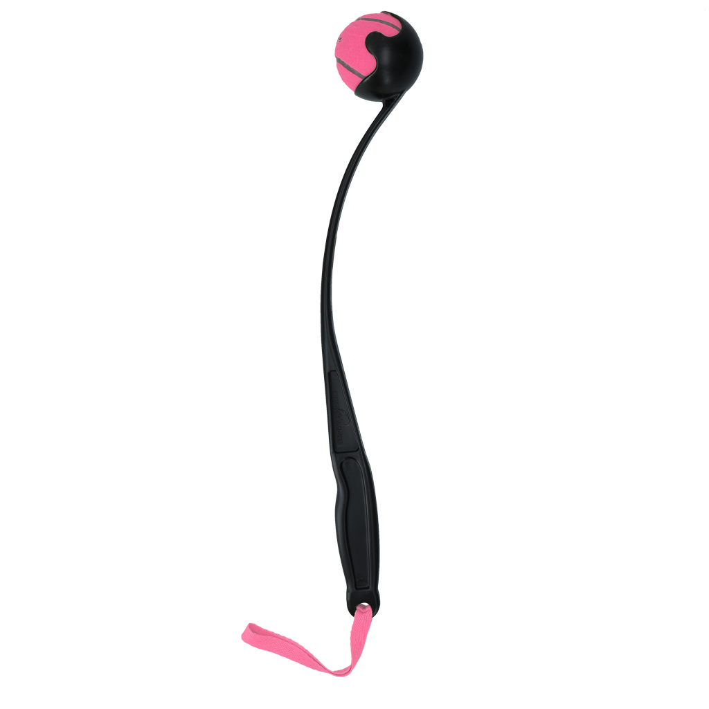 Dog Comets Launcher