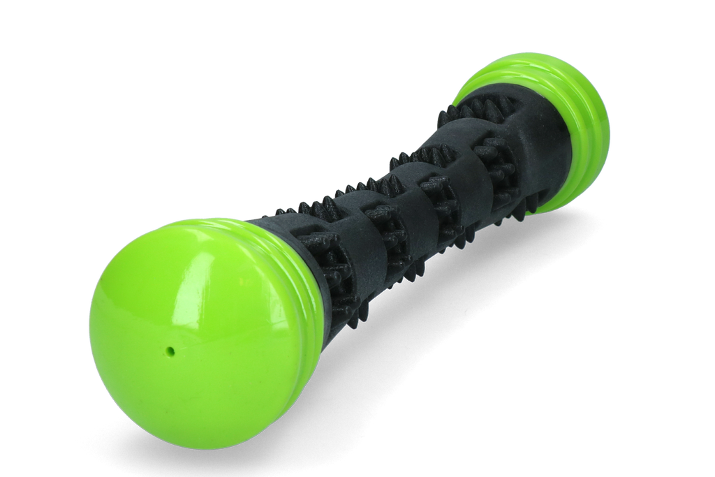 Dog Comets Meteor Throwing stick