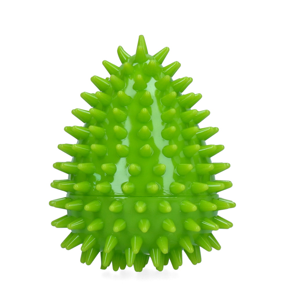 Dog Comets Cosmic Egg