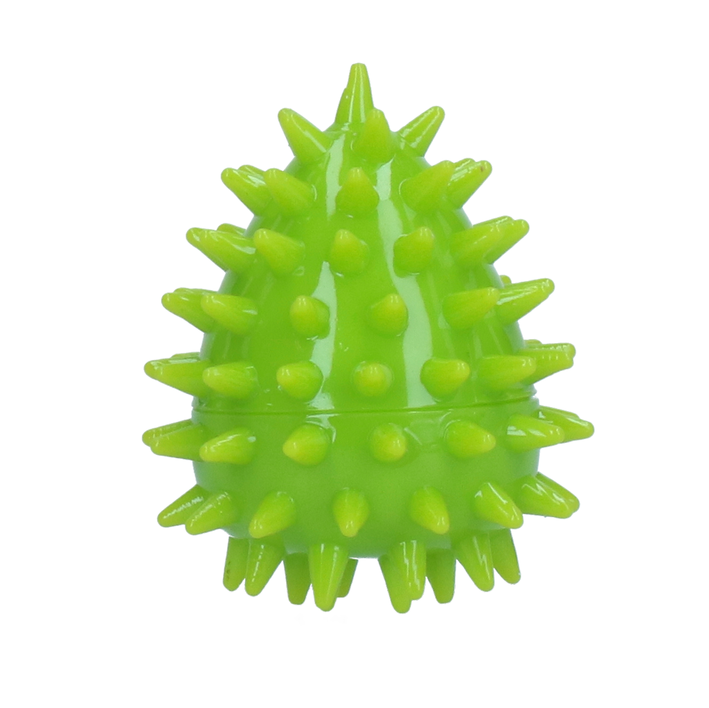 Dog Comets Cosmic Egg