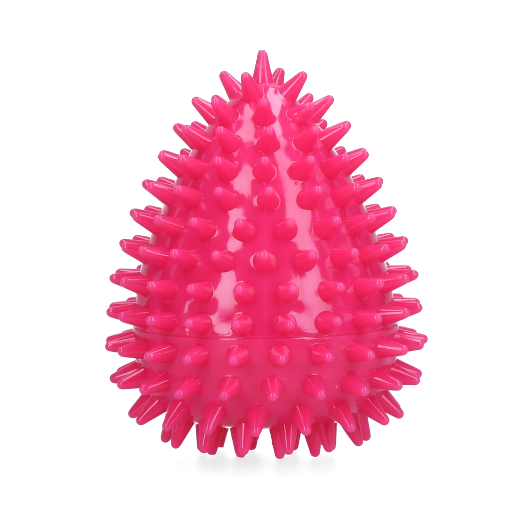 Dog Comets Cosmic Egg