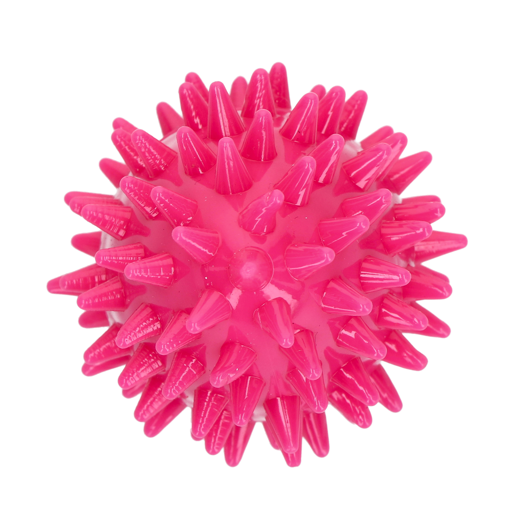 Dog Comets Cosmic Egg
