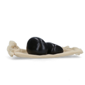 Cozy Dog Spare Parts Stones