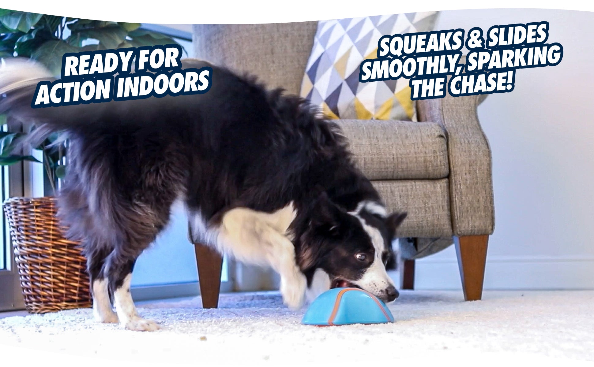 Chuckit! Indoor Super Slider 