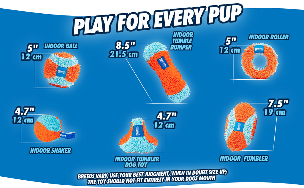Chuckit! Indoor Shaker 