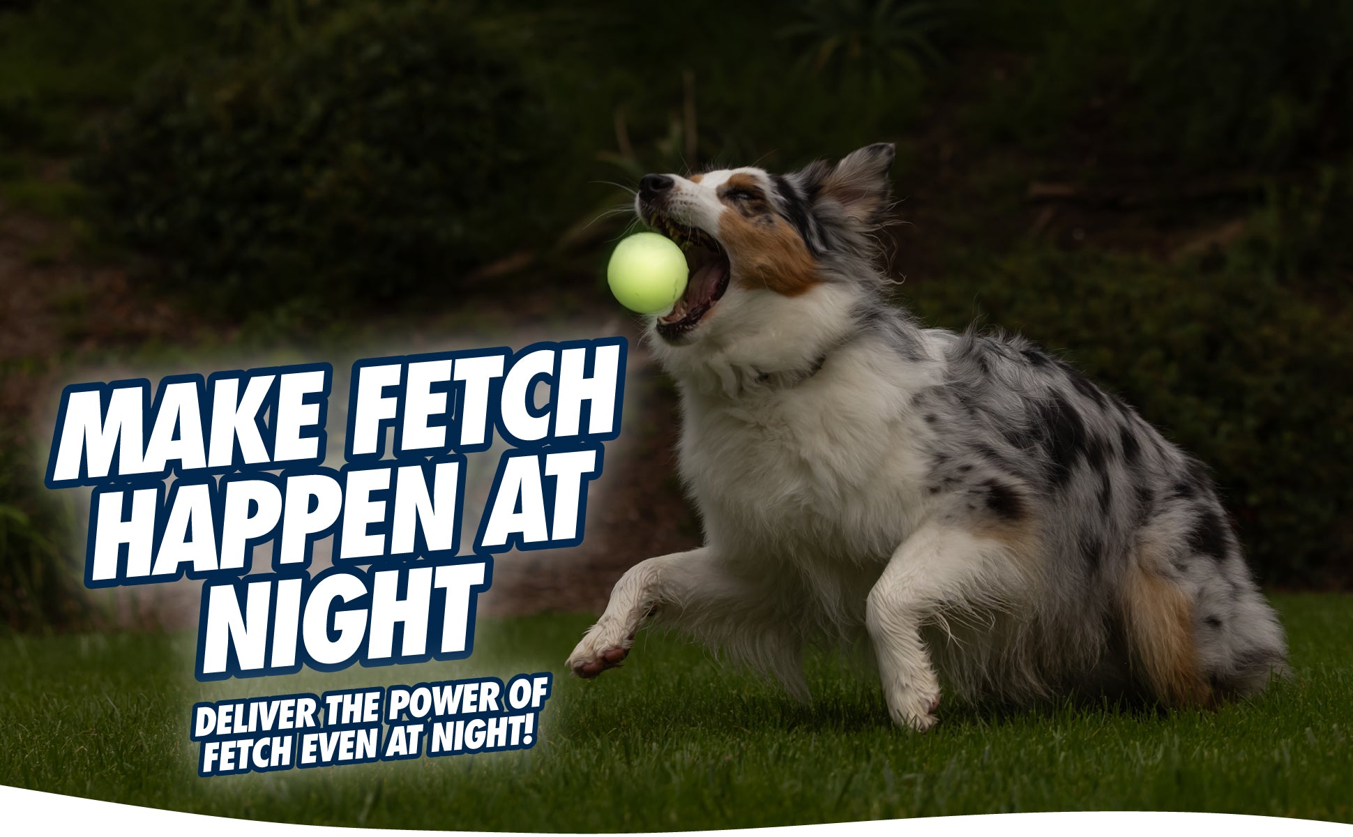 Chuckit! Max Glow Ultra Squeaker Ball M