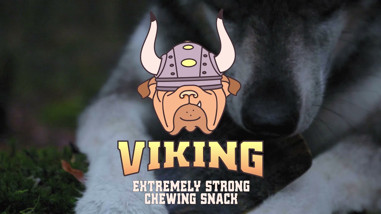 Viking Horn Twist