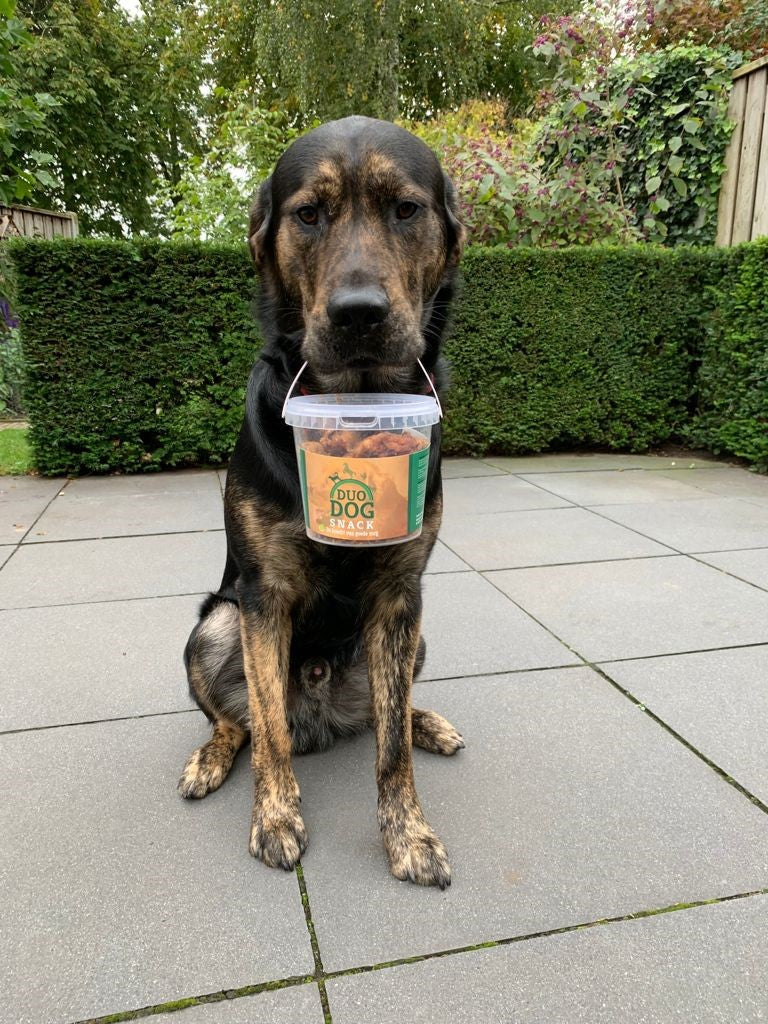 Duo Dog Snacks 