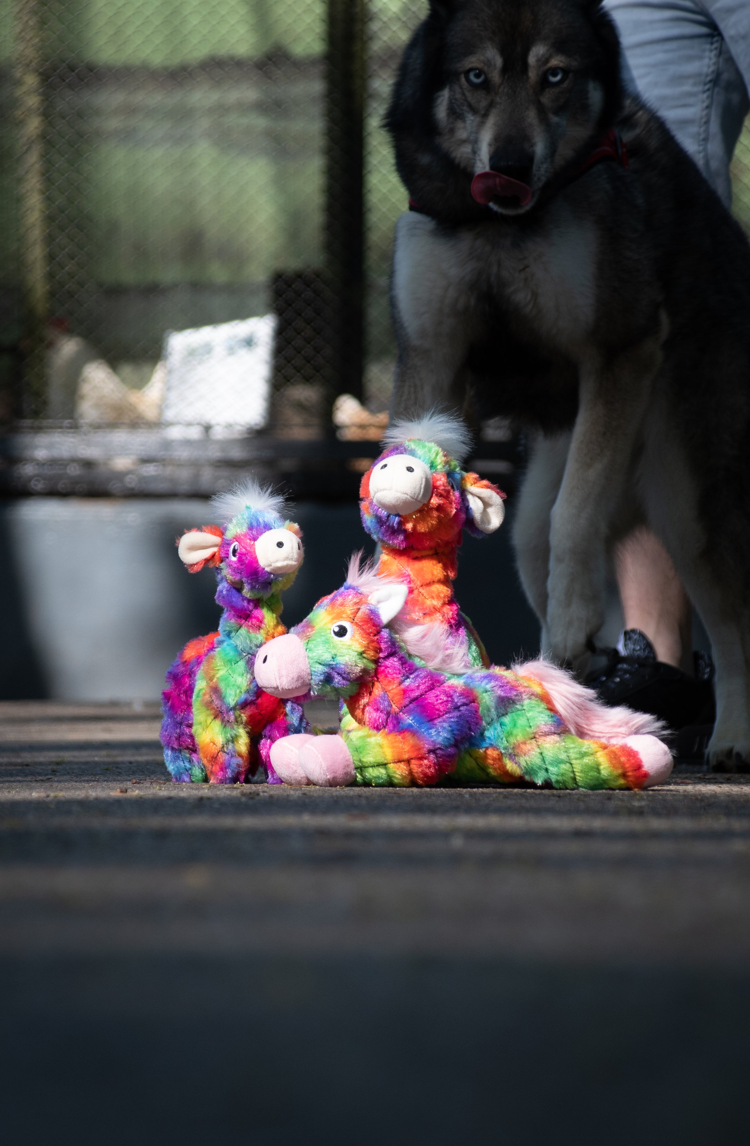 FantaZoo Giraffe - L