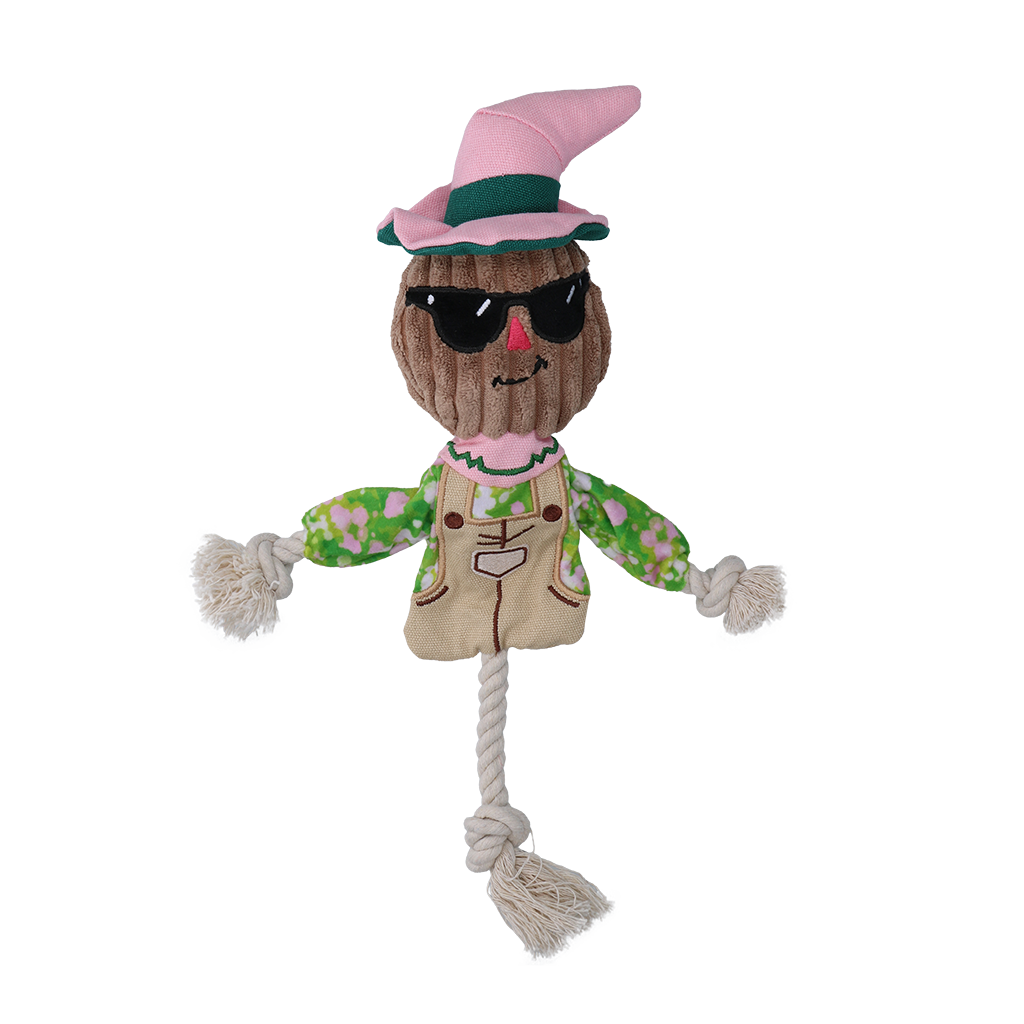 Garden Paws Scarecrow Scary Harry
