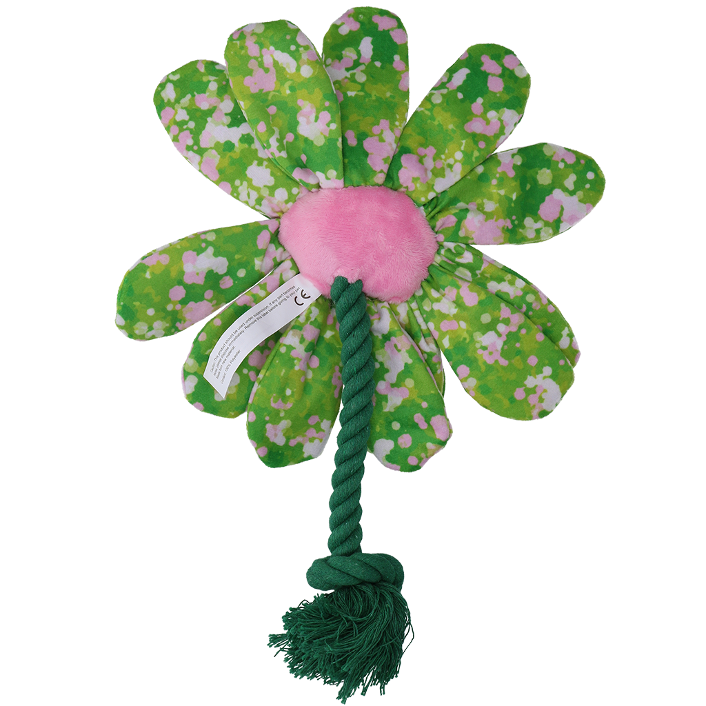 Garden Paws Flower Summer Shrubs