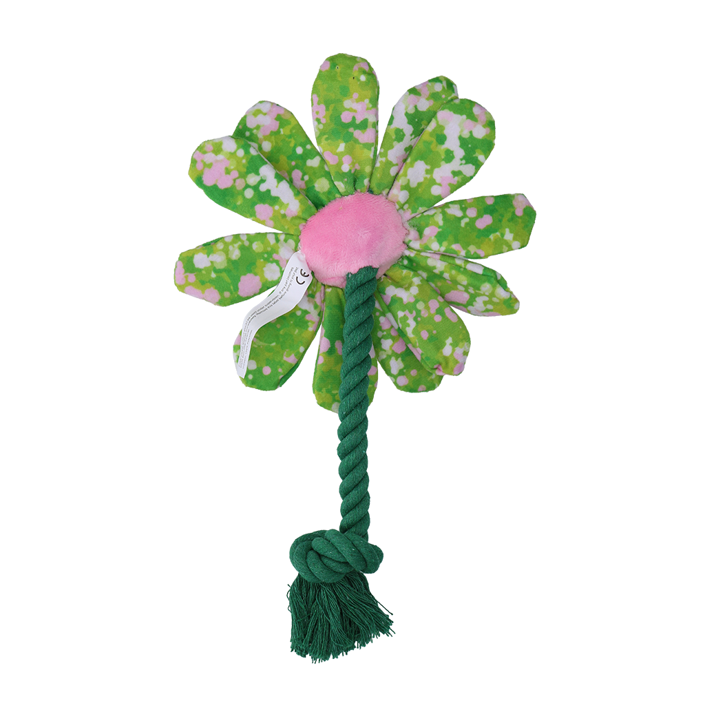 Garden Paws Flower Summer Shrubs