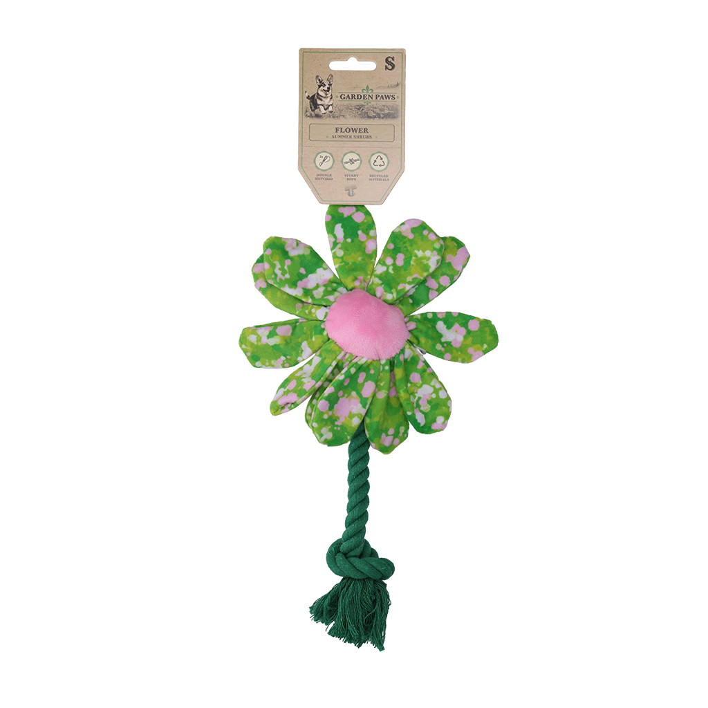 Garden Paws Flower Summer Shrubs