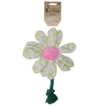 Garden Paws Flower Spring Sakura