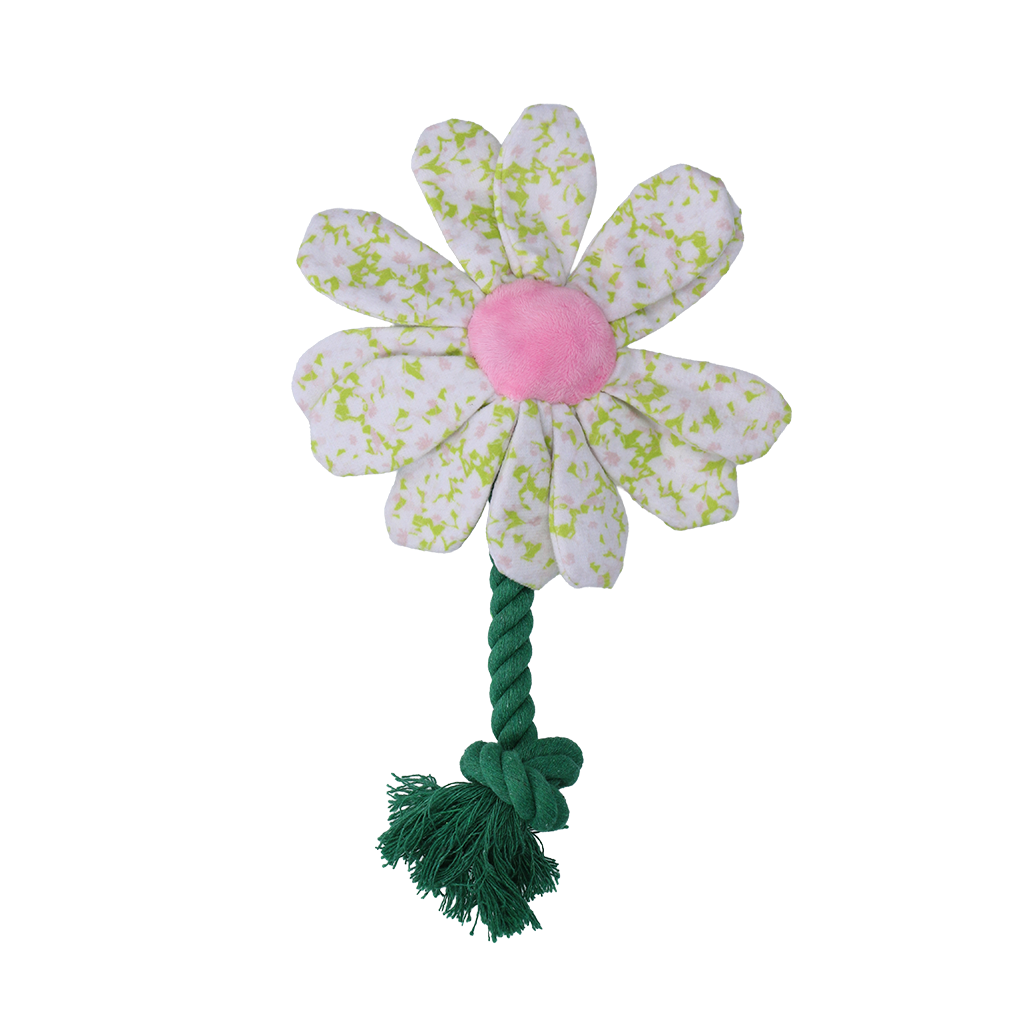 Garden Paws Flower Spring Sakura
