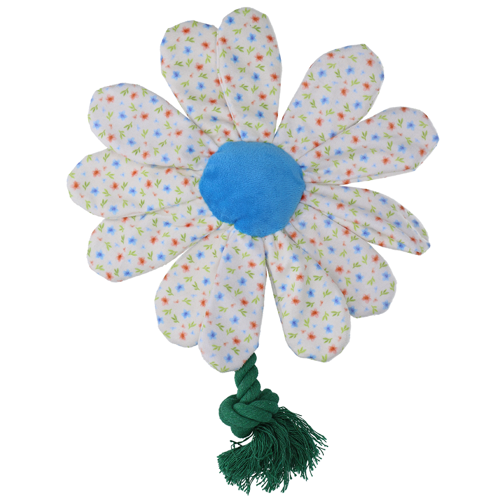 Garden Paws Flower Sky Flowers