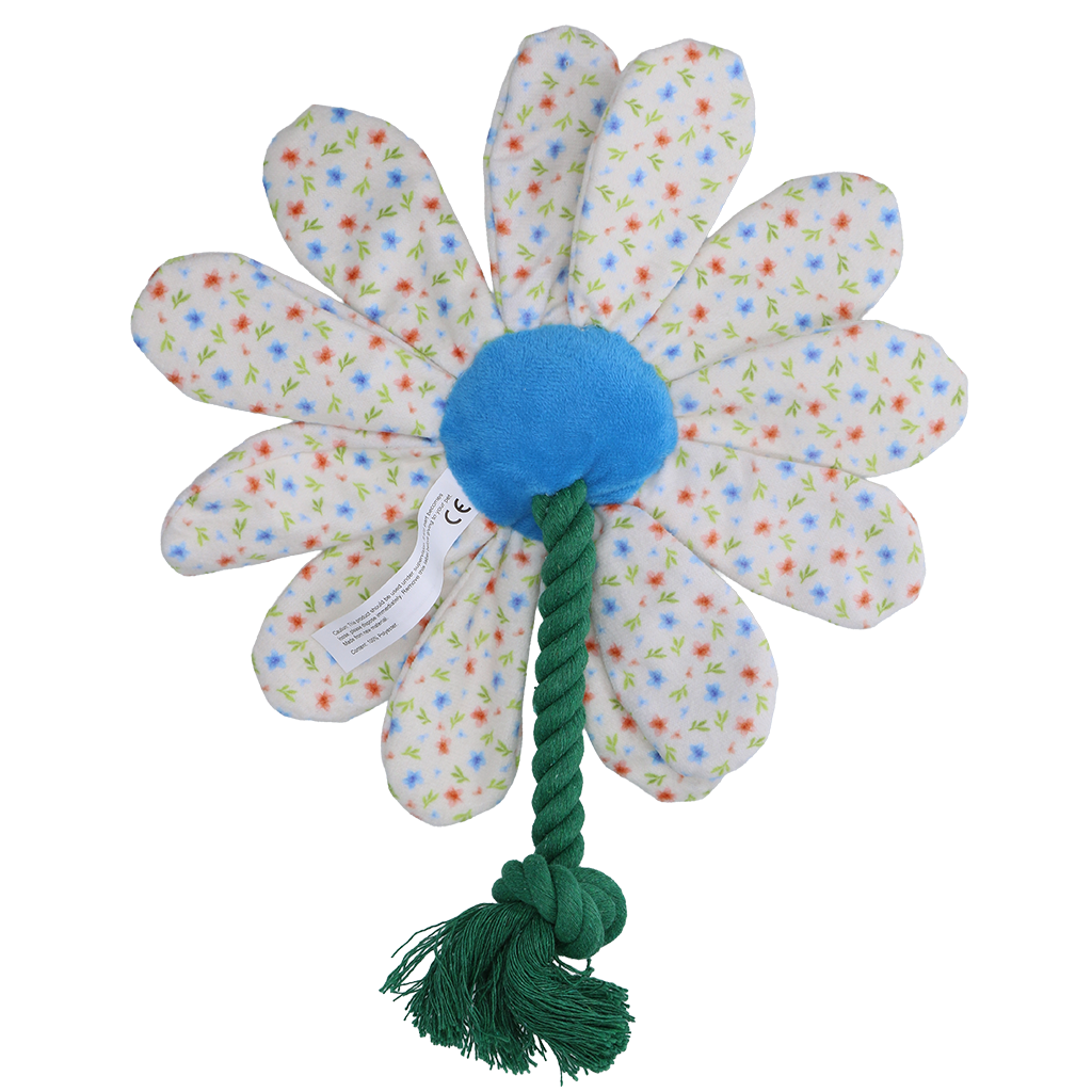 Garden Paws Flower Sky Flowers