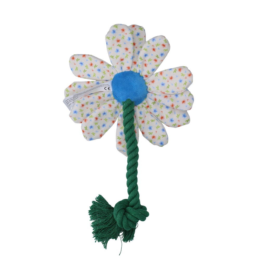 Garden Paws Flower Sky Flowers