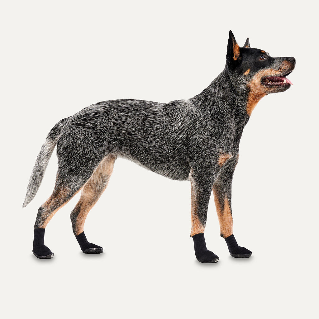 Goo-eez Dog Boots Ultras 2 Per Pack XS Black