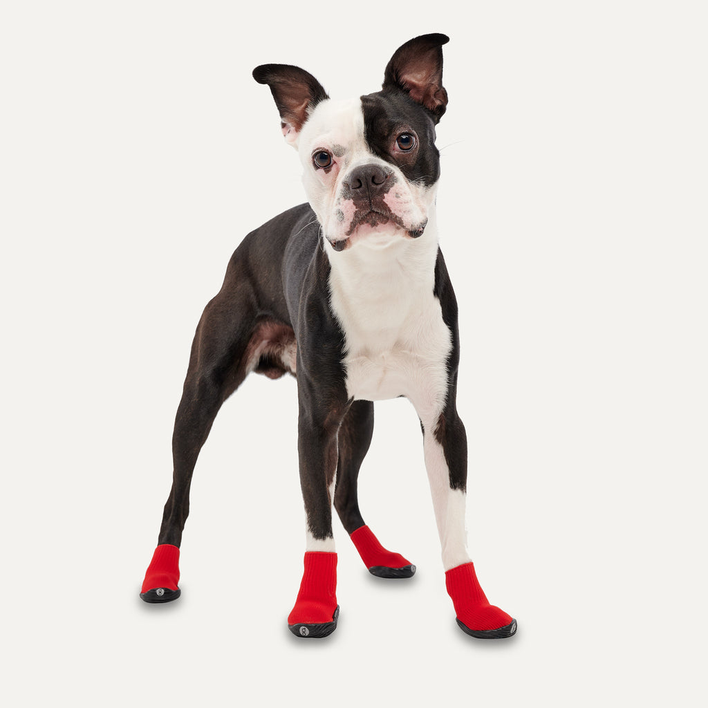 Goo-eez Dog Boots Ultras 2 Per Pack XXS Red/Black