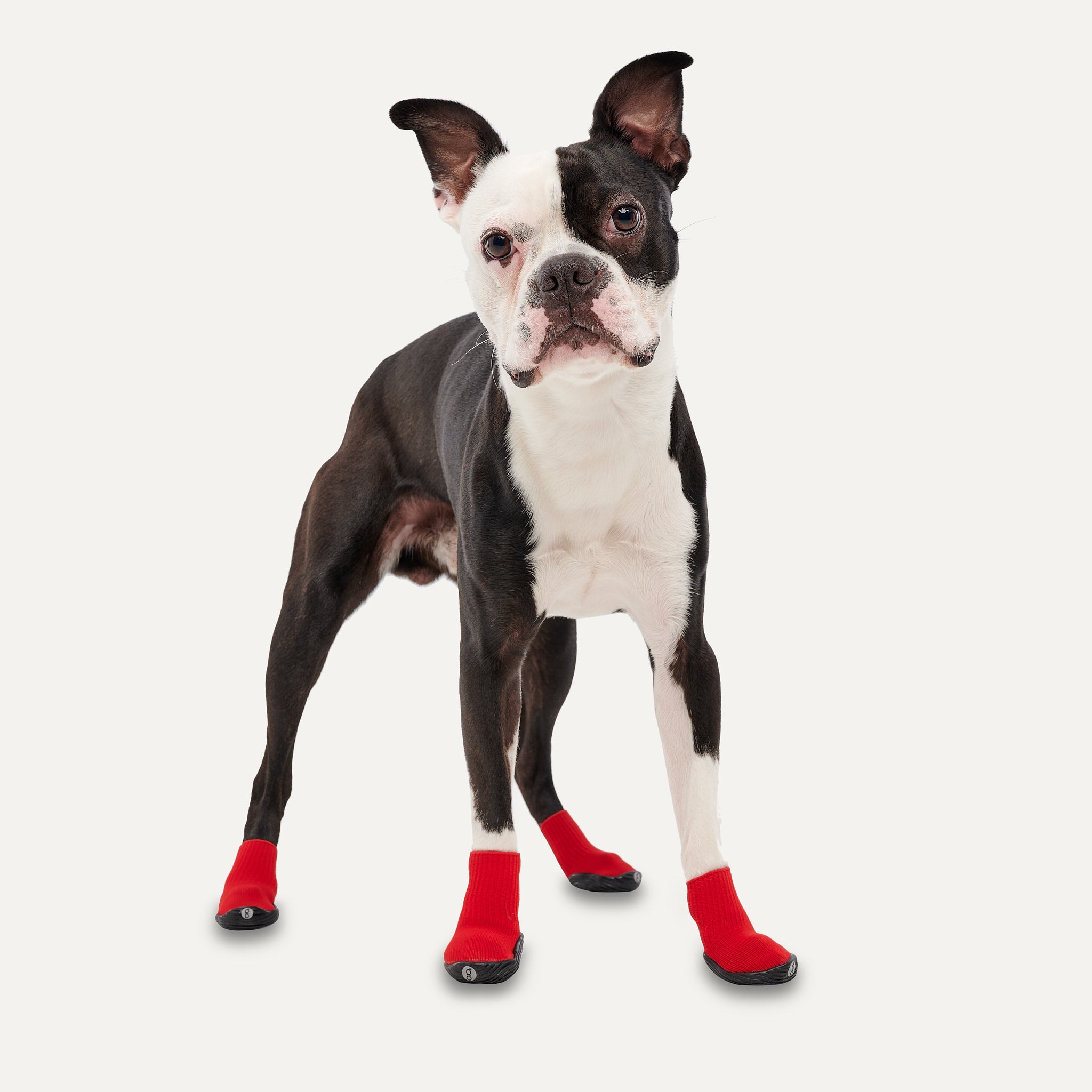 Goo-eez Dog Boots Ultras 2 Per Pack XXS Red/Black