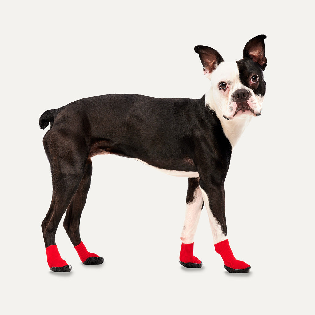 Goo-eez Dog Boots Lites 4 Per Pack XXS Red/Black