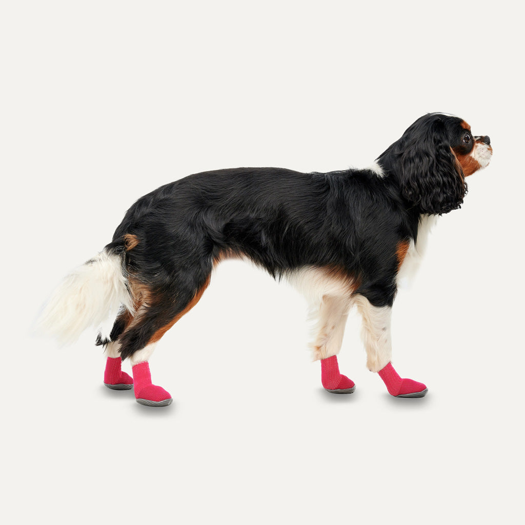 Goo-eez Dog Boots Lites 4 Per Pack Red/Black