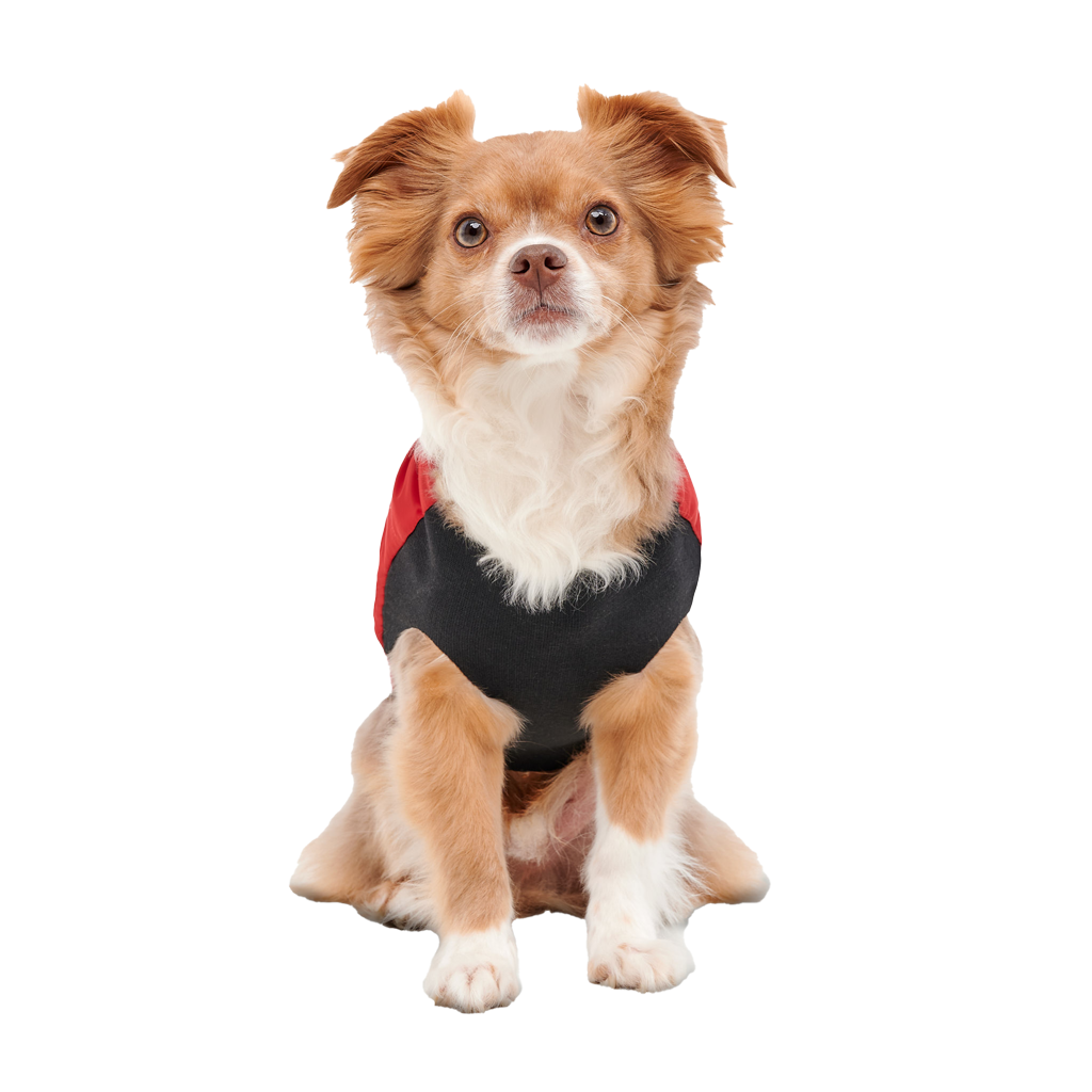 Goo-eez Mock Neck Signature Wrap Jacket XXS Red/Black