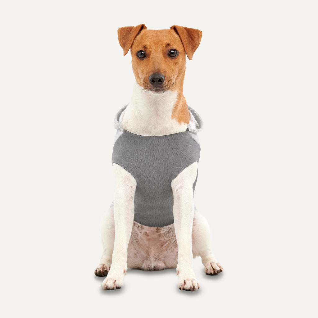 Goo-eez Kangaroo Fleece Hoodie XXS Grey