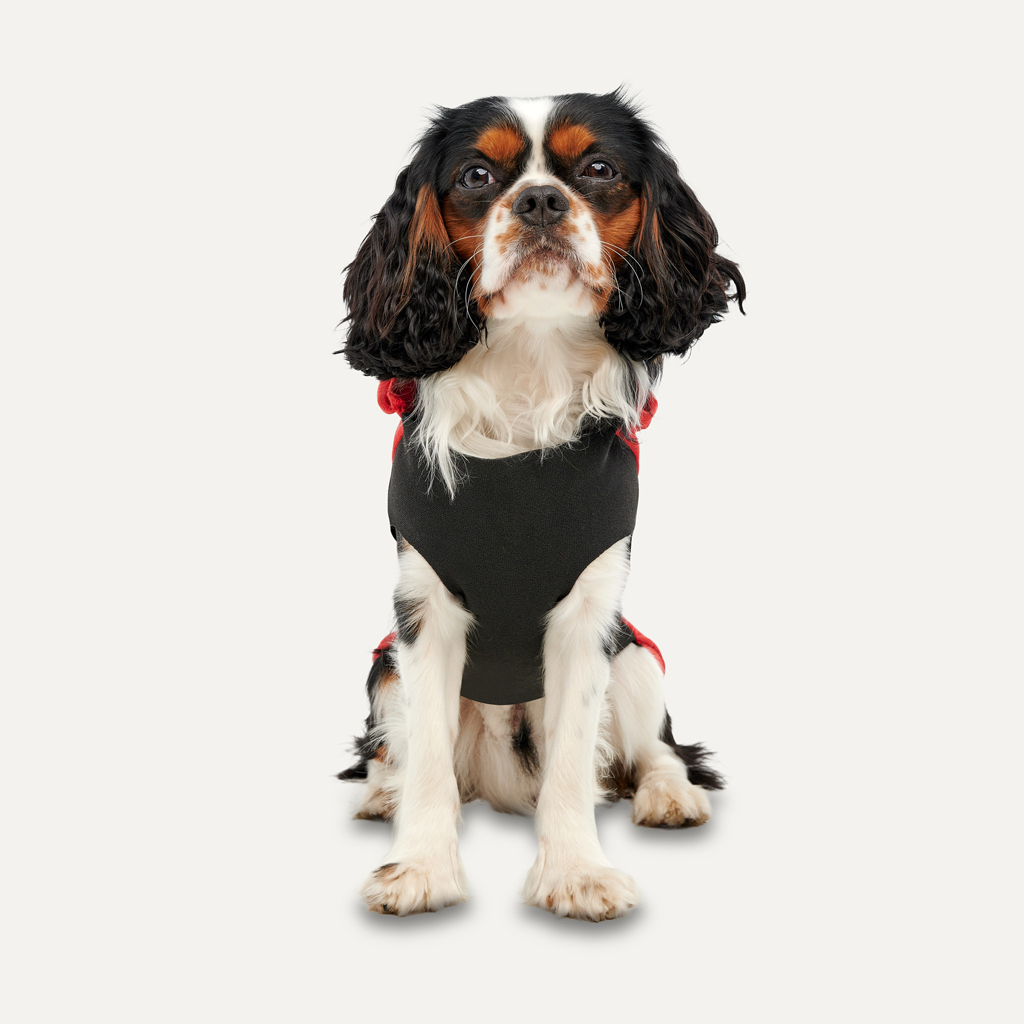 Goo-eez Kangaroo Fleece Hoodie Red/Black