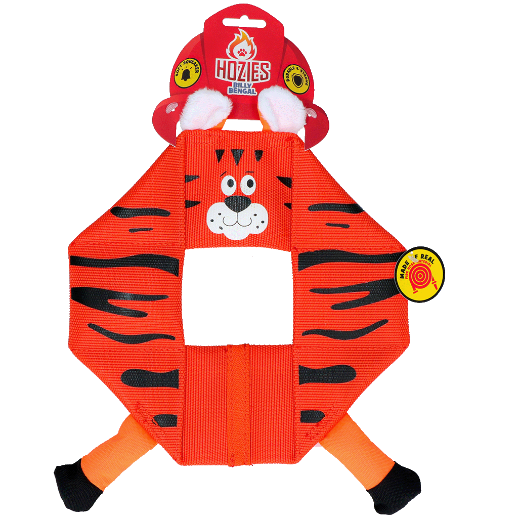 Hozies Octagon Billy Bengal