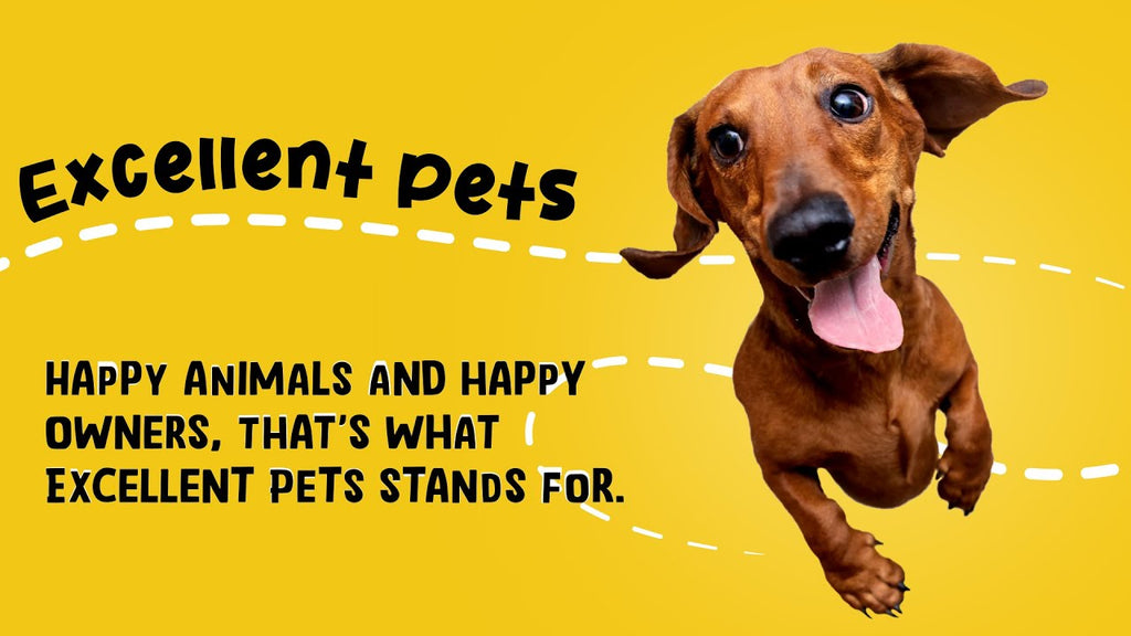 Excellent Pets Skin & Coat Soft Chews 60 Treats