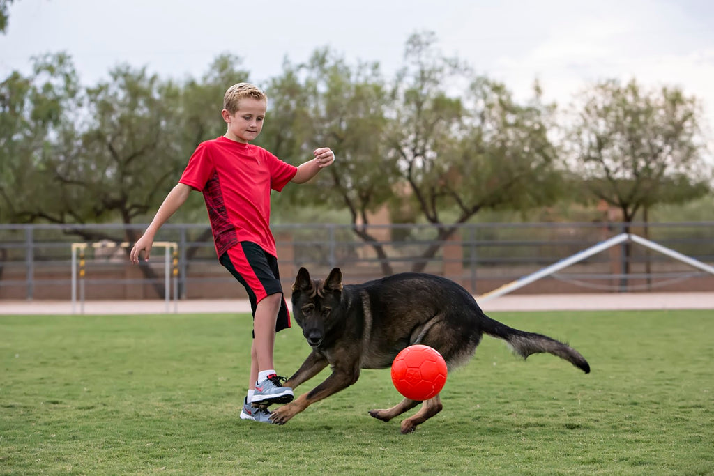 Jolly Pets Jolly Soccer Ball (15 cm)