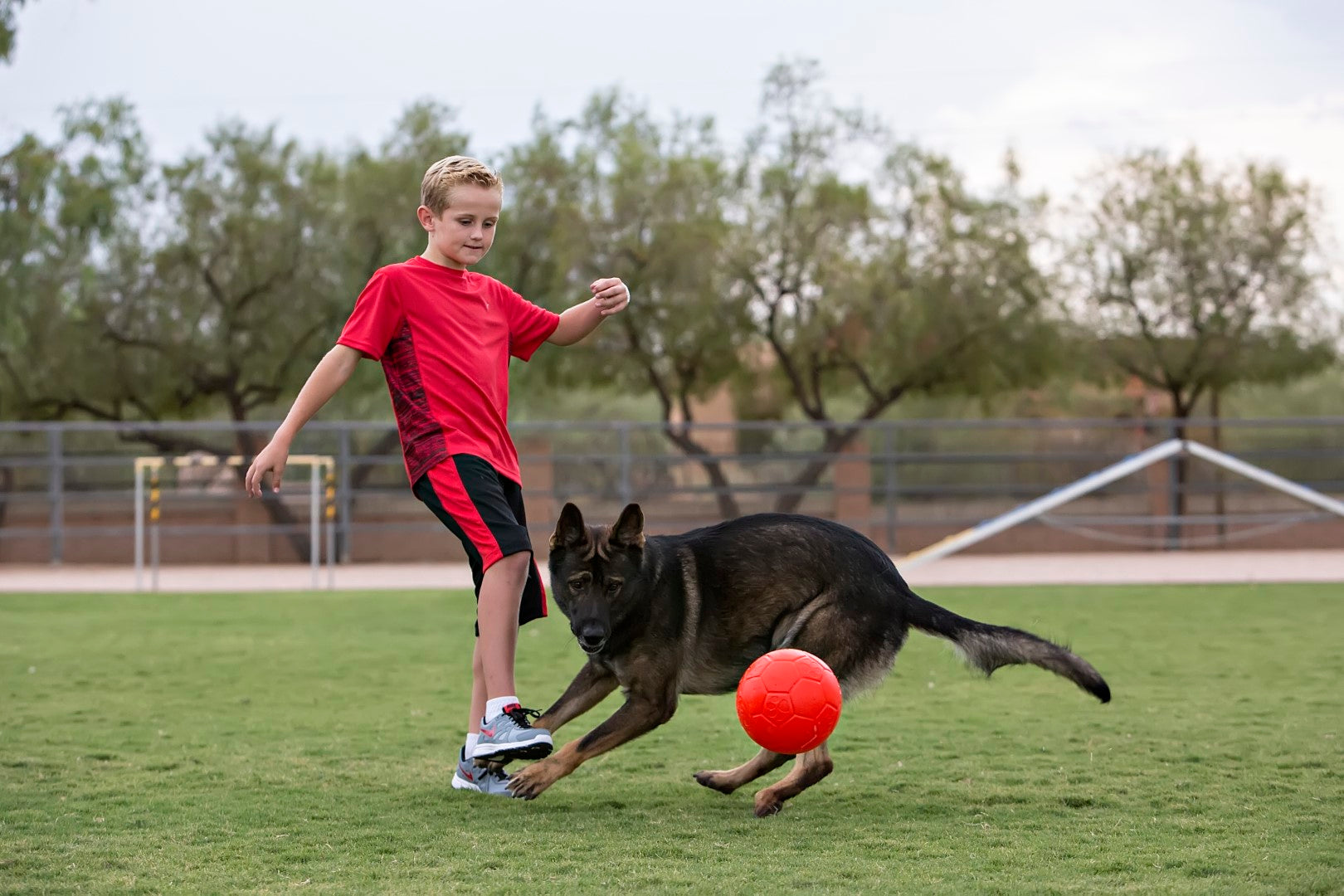 Jolly Pets Jolly Soccer Ball (15 cm)