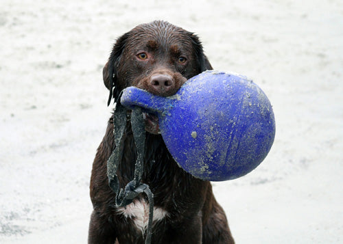 Jolly Tug-n-Toss Red XL (25 cm)