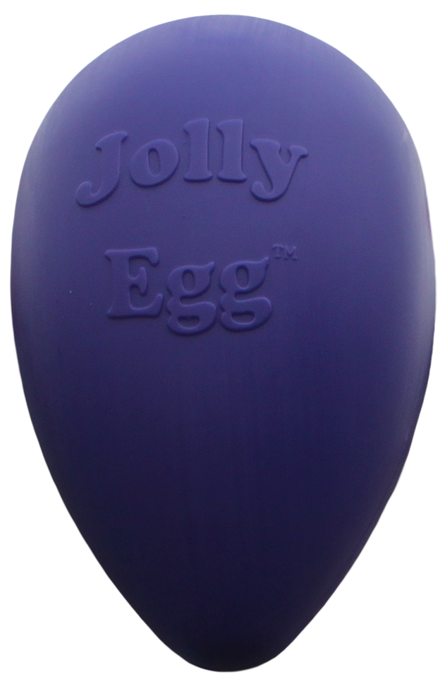 Jolly Egg Purple S (20 cm)