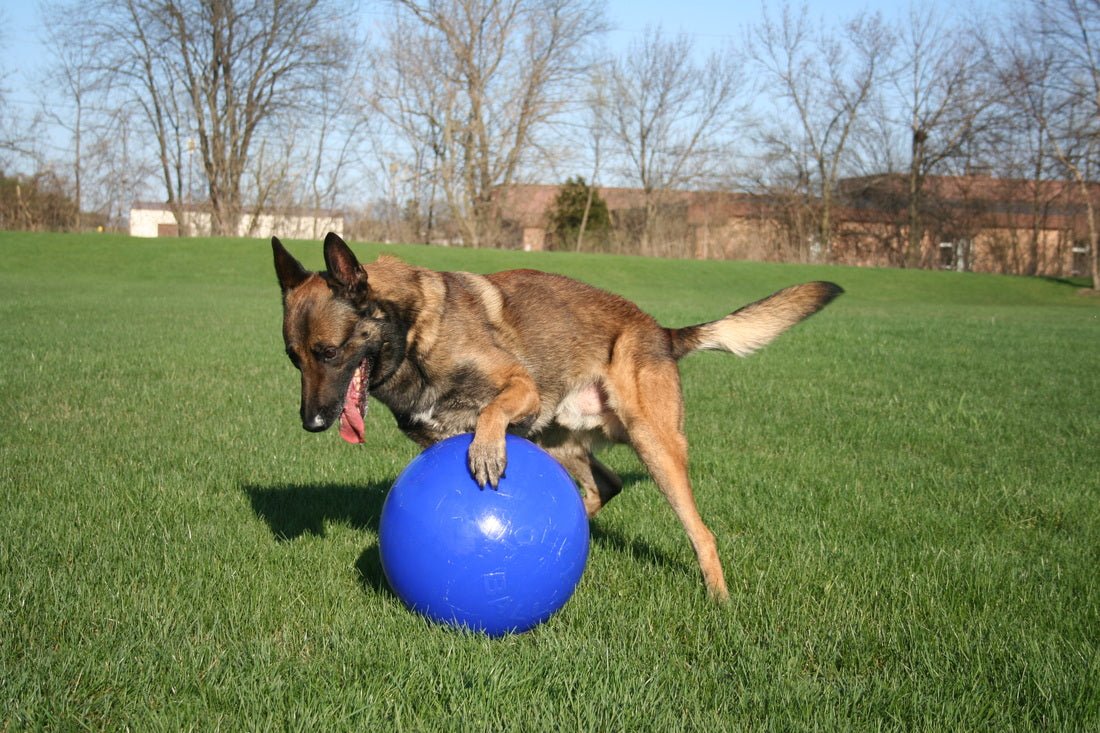 Jolly Push-n-Play Blue M (15 cm)